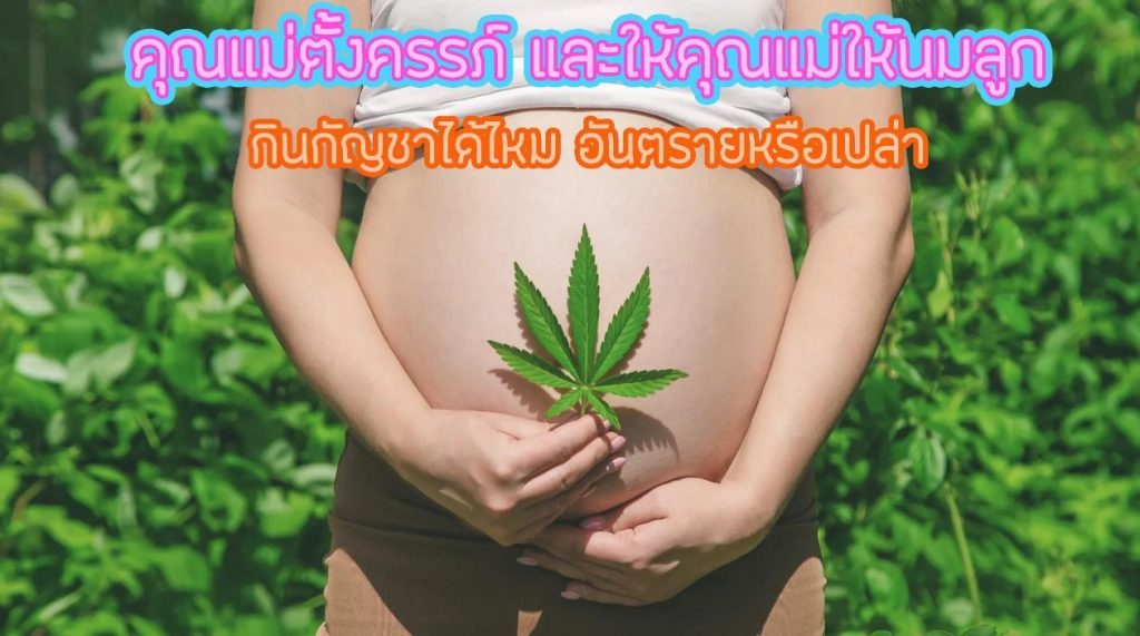 คู่มือสำหรับคุณแม่